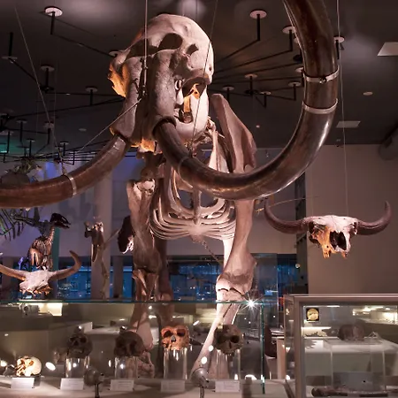 Hotel Der Valk Leiden