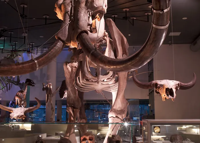 Hotell Der Valk Leiden