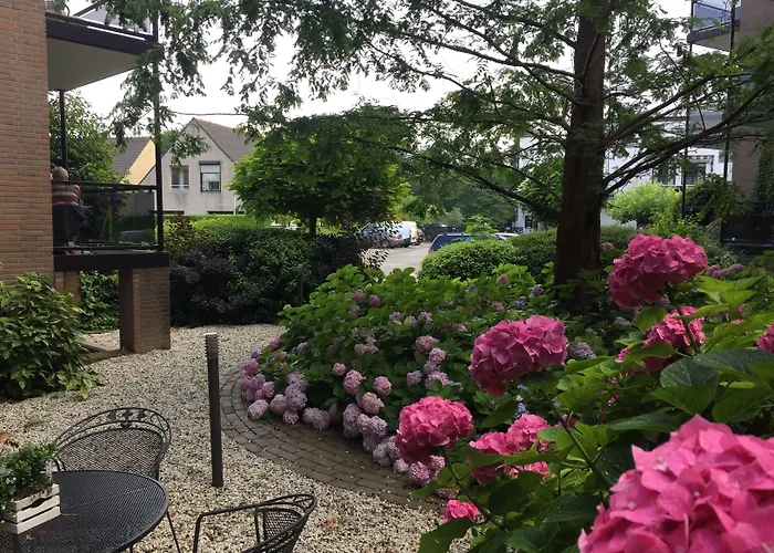 ファン デル ファルク ライデン